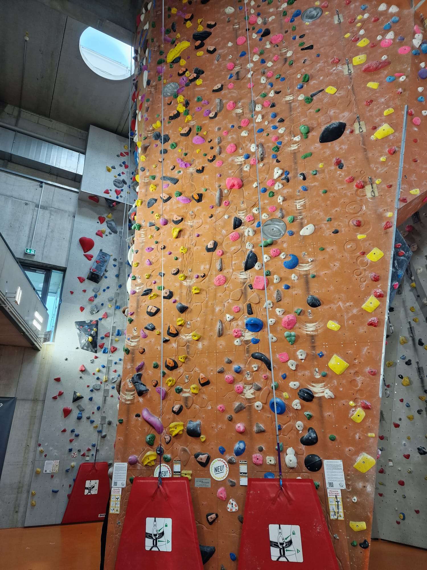 Autobelay